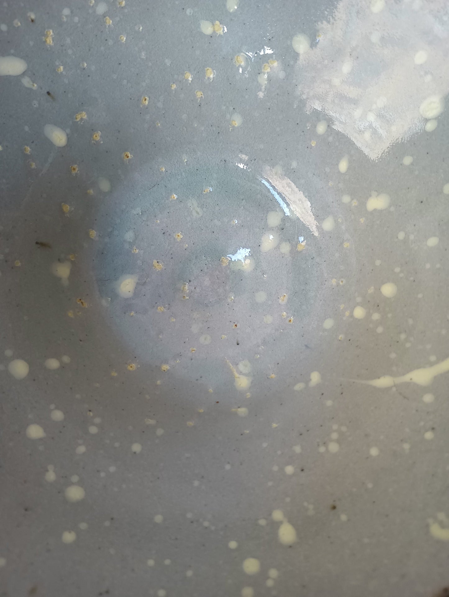 Bianca Simonian Specked Bowl